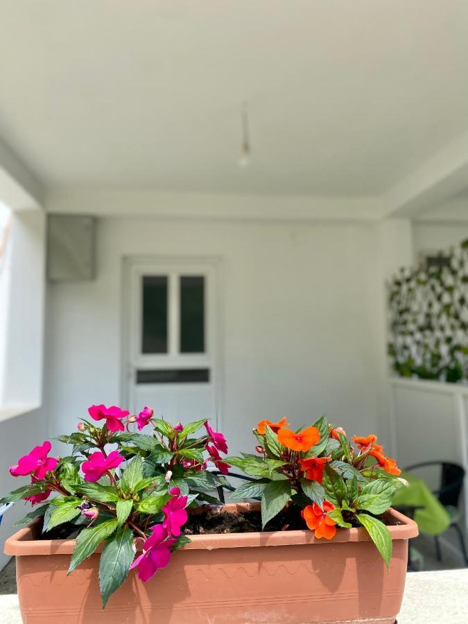 Apartmani Dragana Herceg Novi Exteriér fotografie