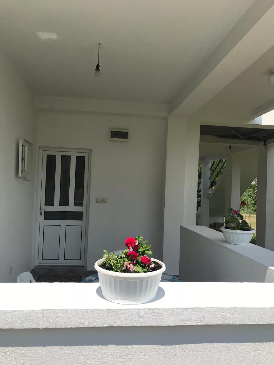 Apartmani Dragana Herceg Novi Exteriér fotografie